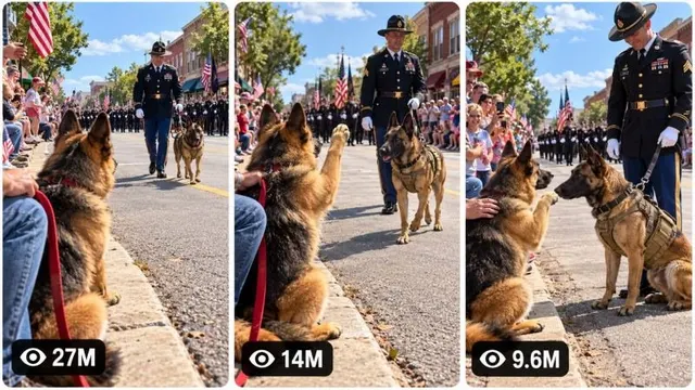 30 Sec Paws of Honor Engine