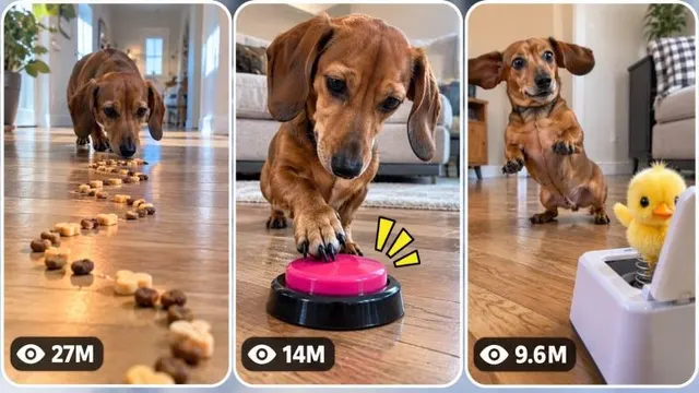 30 Sec Viral Tiny Dog Curiosity, Challenge & Unexpected Reaction Video Universe
